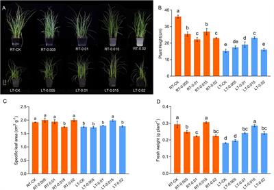 Chitosan induced cold tolerance in Kobresia pygmaea by regulating photosynthesis, antioxidant performance, and chloroplast ultrastructure